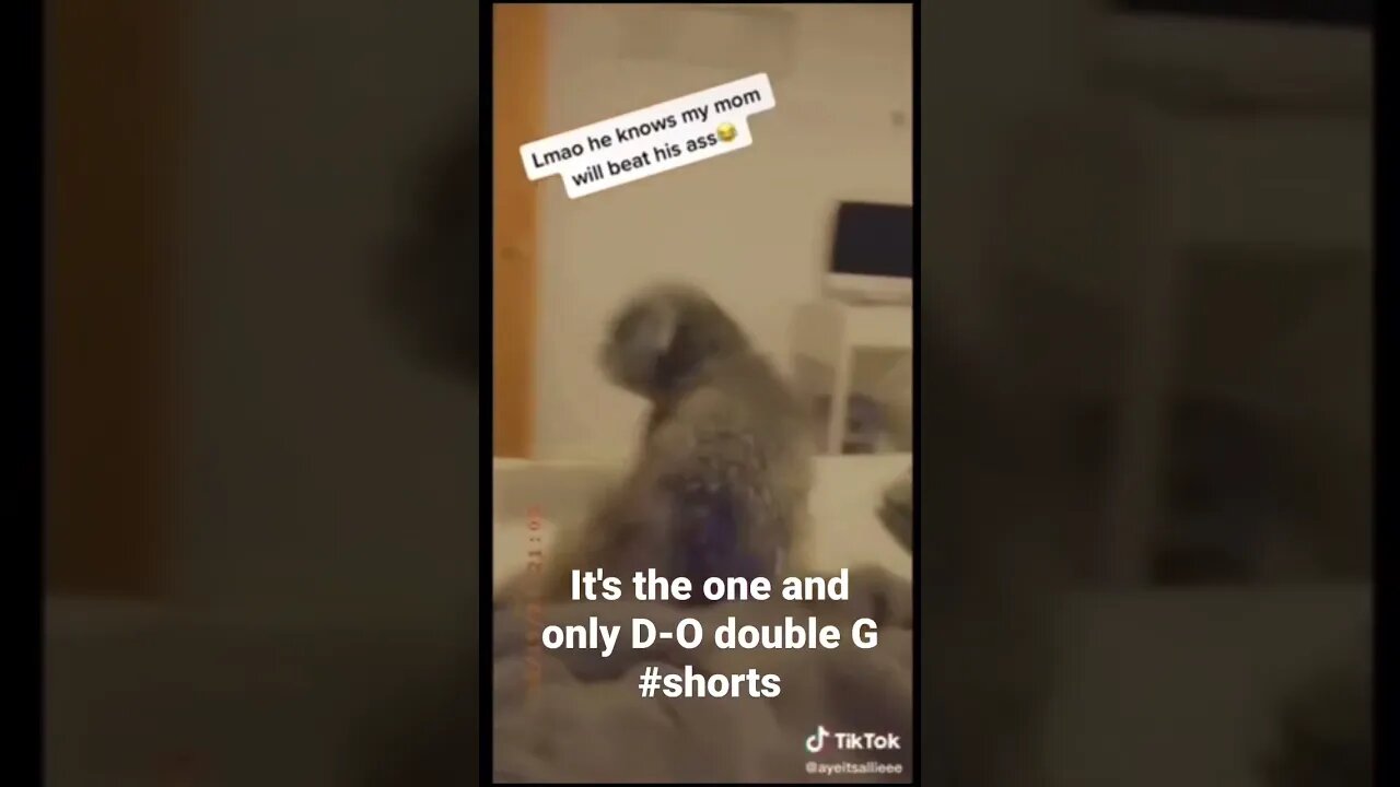 It's the one and only D-O double G #shorts