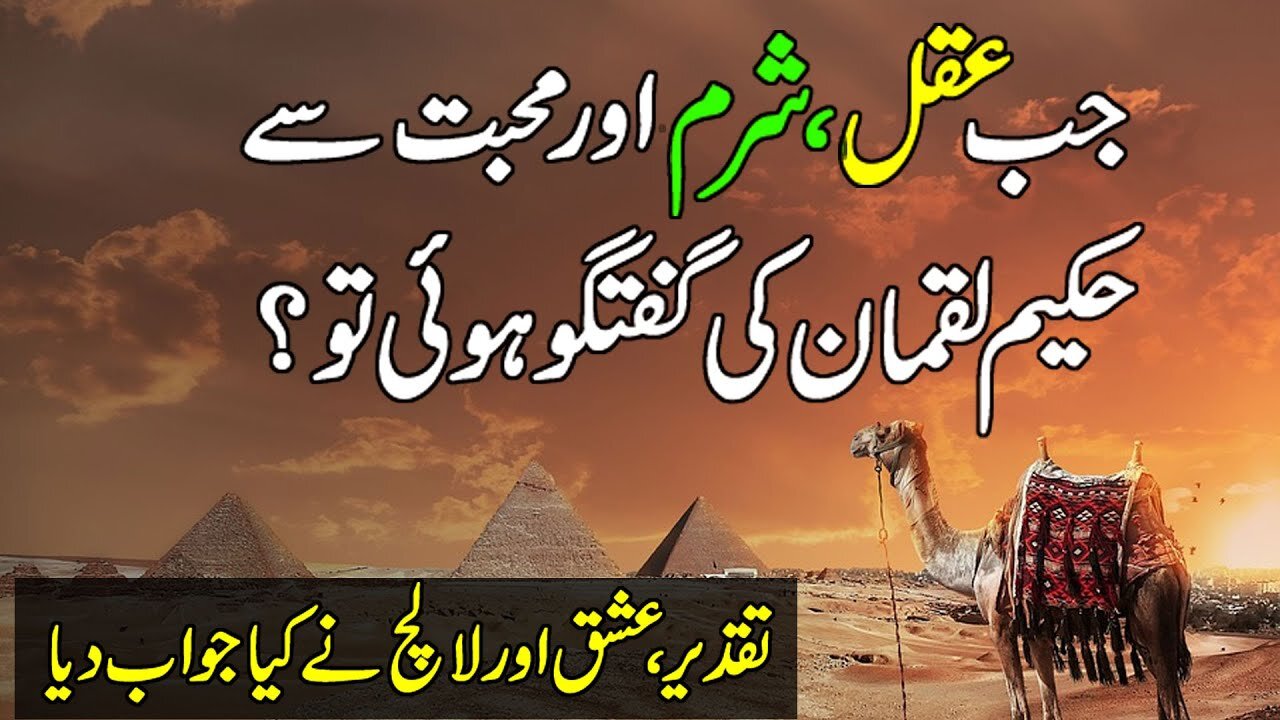 Hakeem Luqman Quotes In Urdu | Jb aqal sharam aur mohabbat luqman se | Hakeem Luqman ki Naseehat