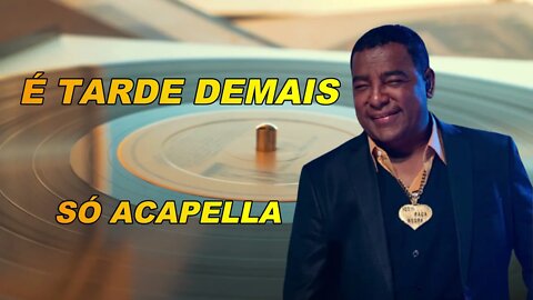 É Tarde Demais - Raça Negra ACapella