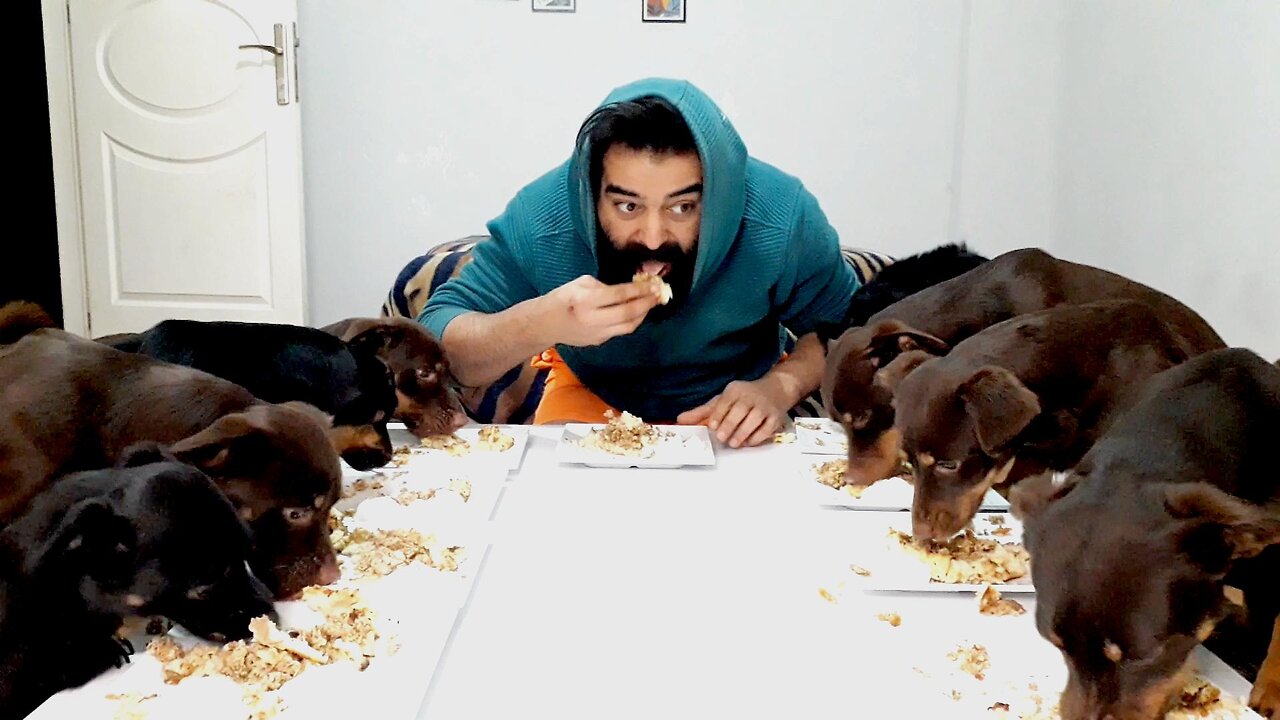 Eating with dogs