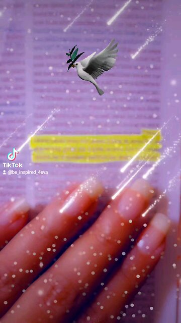 John 14:27 🕊 Scripture of peace!