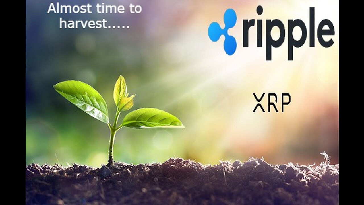 Ripple Expanding & XRP Rally!