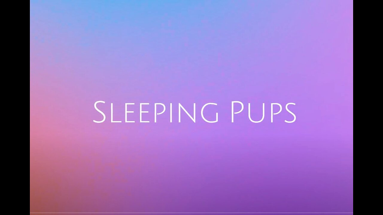 YDSG opener Sleeping Puppies April 26 2023