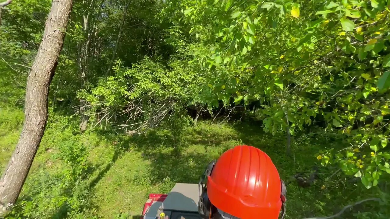 Ventrac 4500Y diesel mowing a over grown pasture along the tree line.