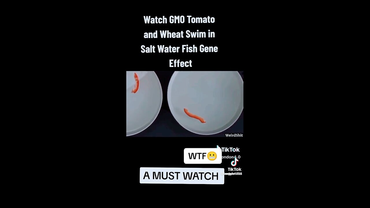 test your fruit and veggies, if they are gmo. GMO plants swim on their own in salt water!