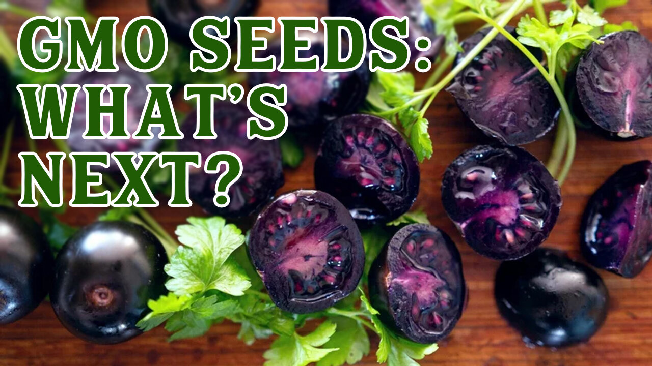 What the HOME GARDENER Needs to Know About the GMO Purple Tomato Seeds