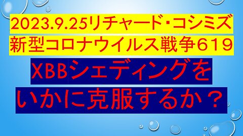 2023.9.25リチャード・コシミズ 新型コロナウイルス戦争６１９