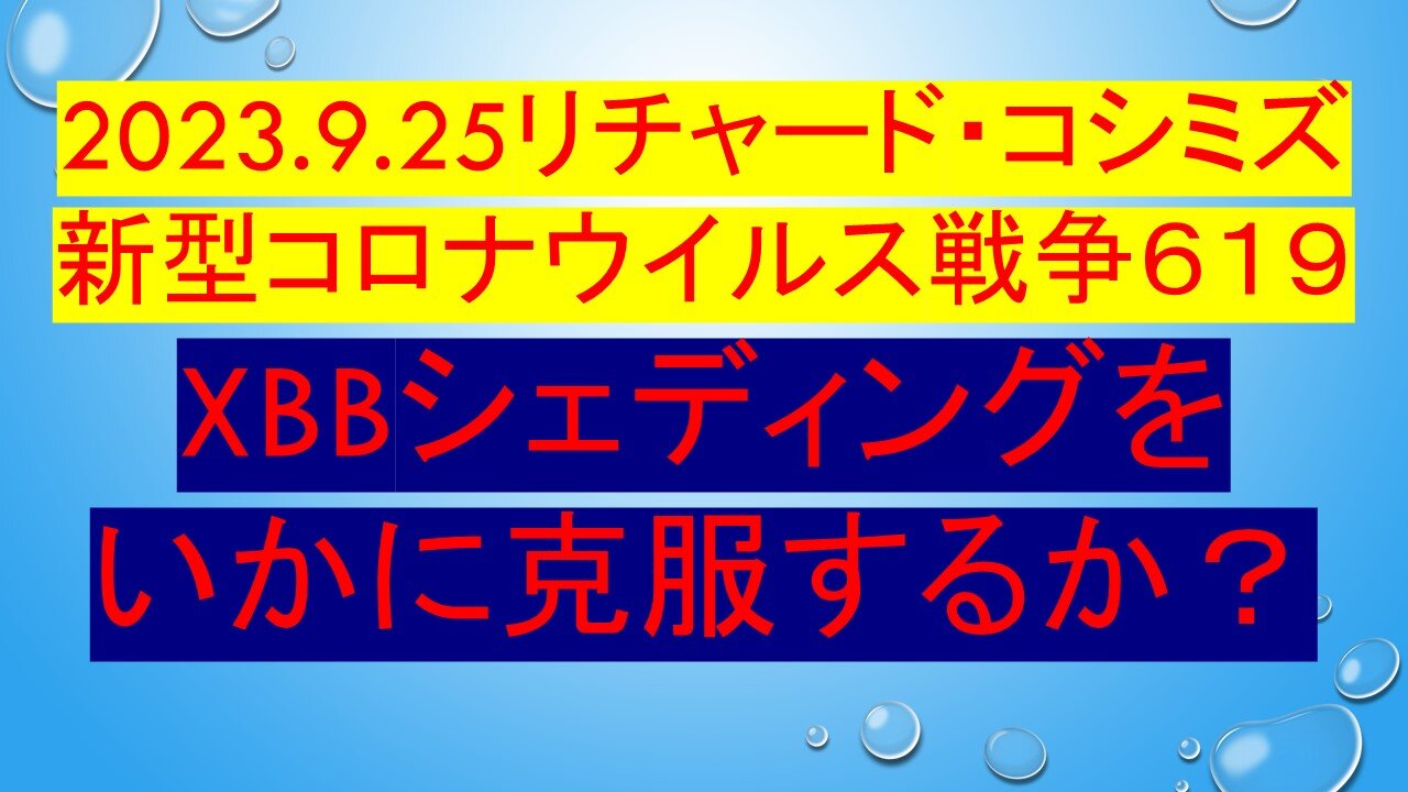 2023.9.25リチャード・コシミズ 新型コロナウイルス戦争６１９