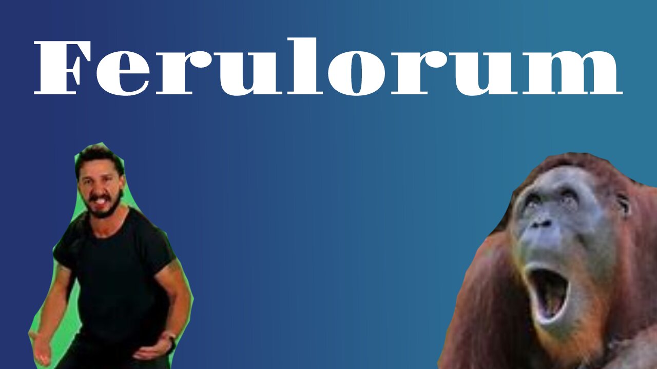 Ferulorum DevLog 0