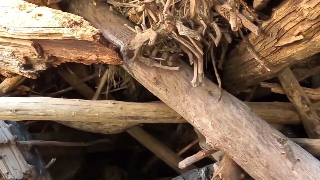 Huge Drift Wood Log Jam!