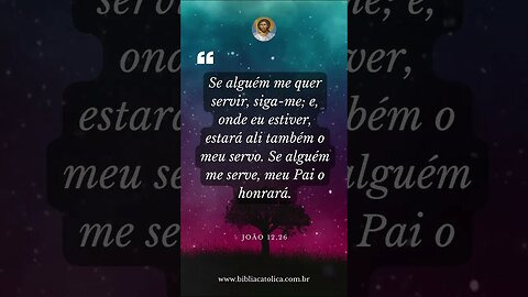 João 12,26 - Seguir a Cristo: O Chamado à Servidão e Companheirismo #bibliacatolica #bibleverse