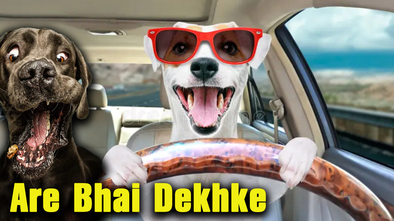 Funniest Dogs - the World's CUTEST Puppies😍 New Funny Dog Videos 🤣🐶 (2023)