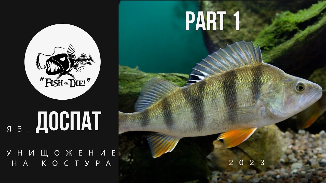 Яз. Доспат 2023 унищожение на Костури - Dospat lake destroying the perch