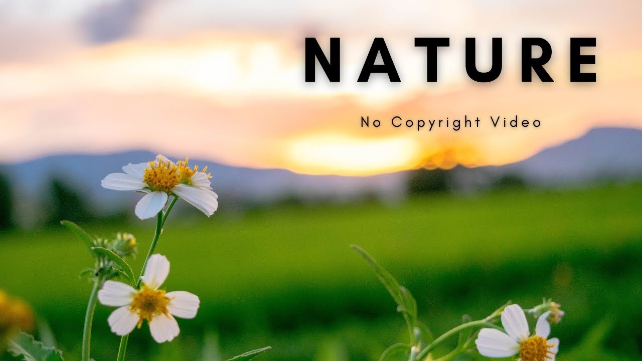 Beautiful Nature | Landscape | Background Video | No Copyright