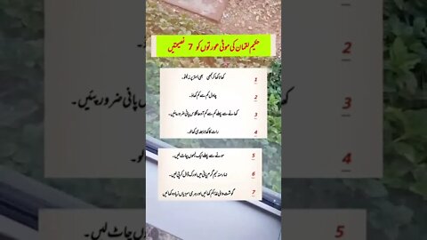 Amazing Facts l World Info Point l #trending #amazing #shorts #health #viral #top #knowledge