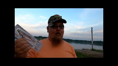 Savage Gear 3D Snake and 6" Mag Draft