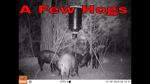 Game Camera Check and Big Plans for 2020