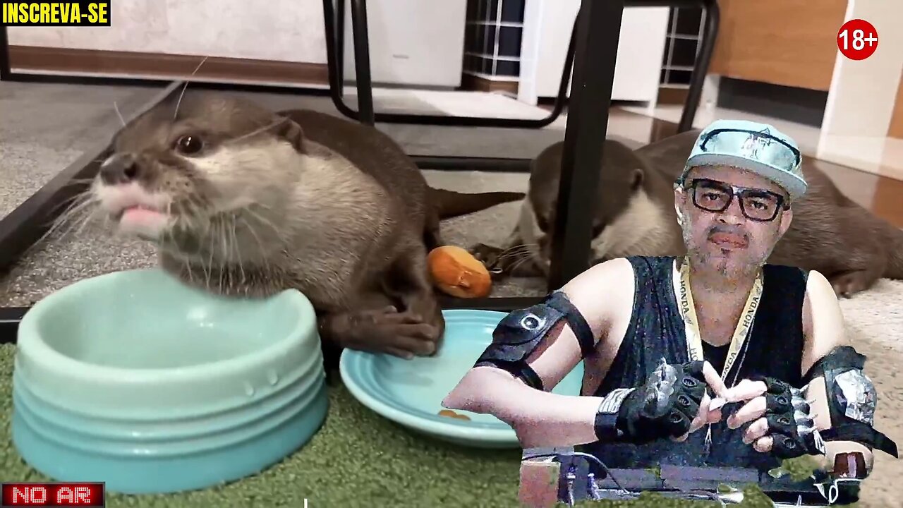 CAPiVARA Pilgrim contra o Mundo.