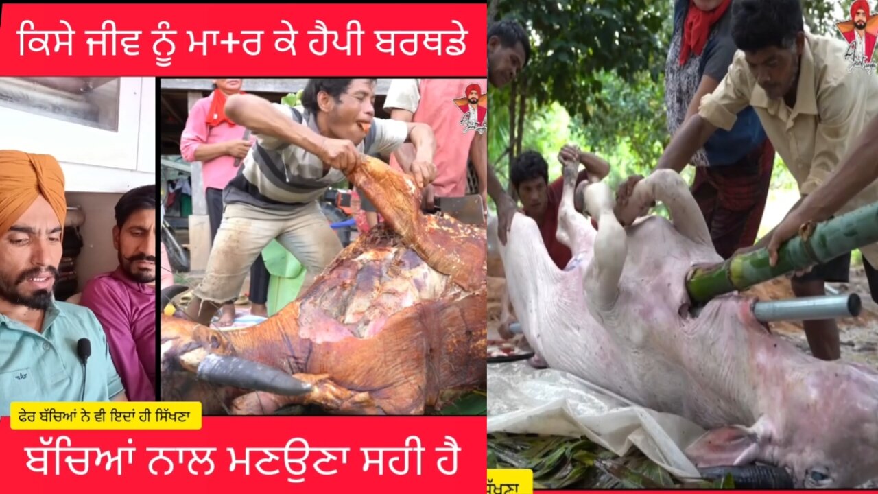 it is right to celebrate 🎉 happy birthday by killing a creature