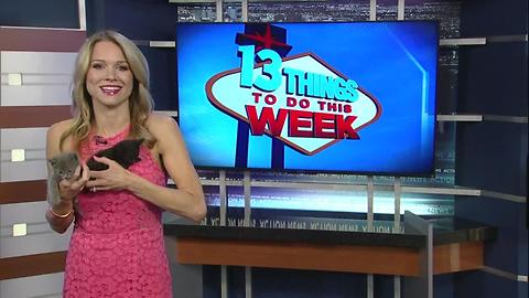 13 Things To Do 6/16/17