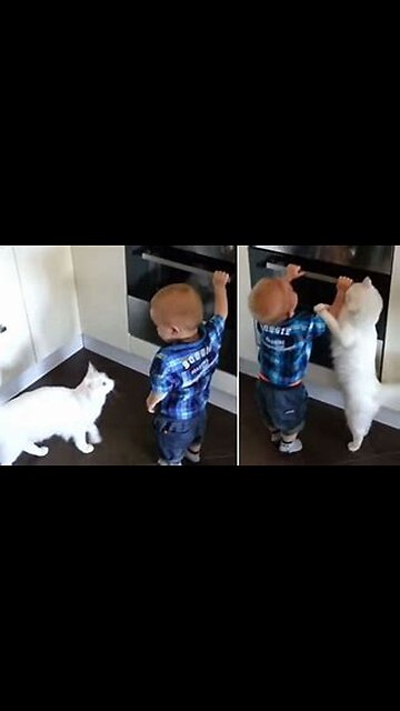 Protective cat keeps baby boy from leaving bedroom. 😼🤗