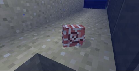 Minecraft: Swimming Sea Shell!!!