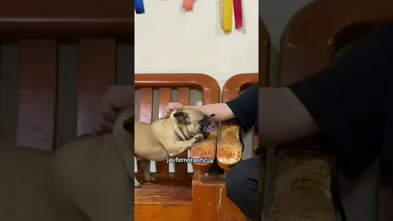 cachonildo do piqueno