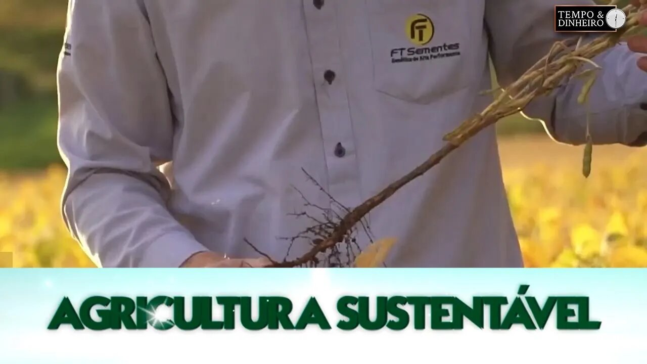 FT Sementes apresenta suas novas cultivares de soja para maior produtividade