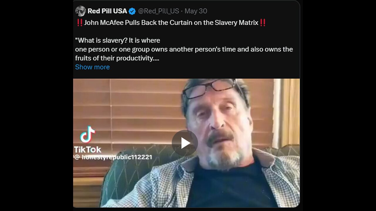 John McAfee Pulls Back the Curtain on the Slavery Matri