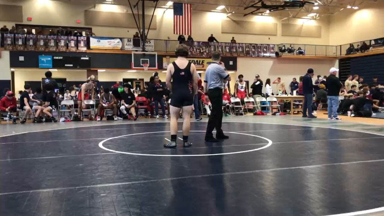 Bear Throw 🐻 🤼