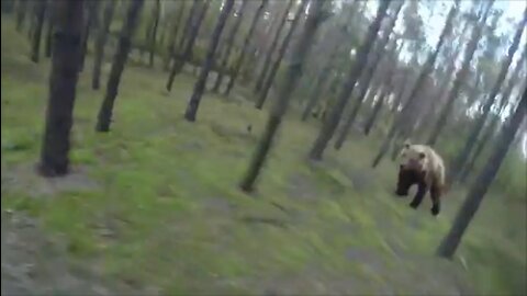 Man Flees Bear Attack While Biking