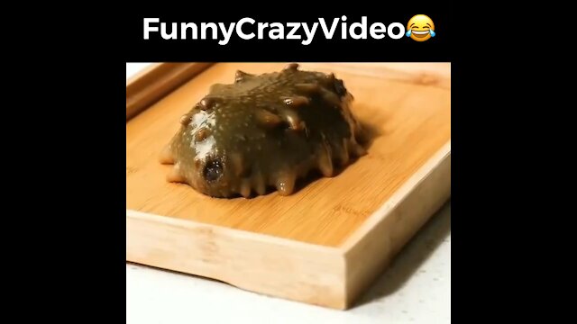 Mr FunnyCrazyVideo😂 Just Incredible Video Funny and Crazy #Like Follow for Follow 🥰