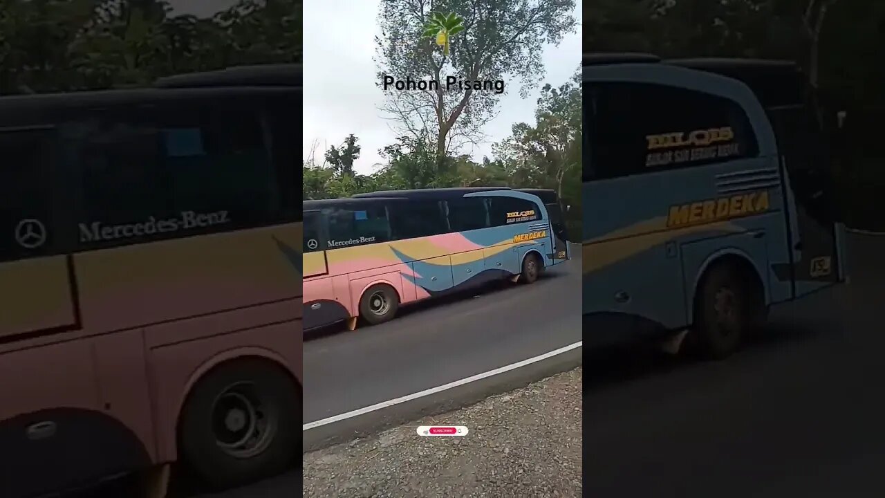 Bus Merdeka