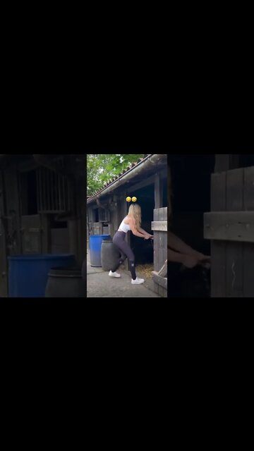 #shorts #2022 funny,prank,funjokes,dad jokes,funny memes,funny video,fun,laughing,funny animal,knock