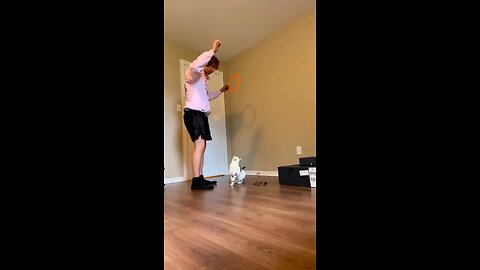 CAT Jumps throug rings AMAZING FUNNY