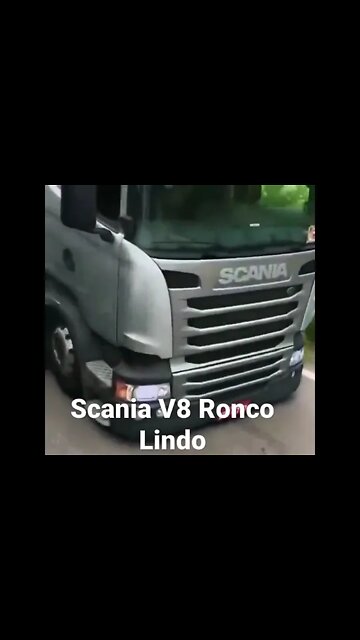 Scania V8 - Ronco lindo de ouvir - setadoido #shorts #trucklife #scania #viralshorts #ets2