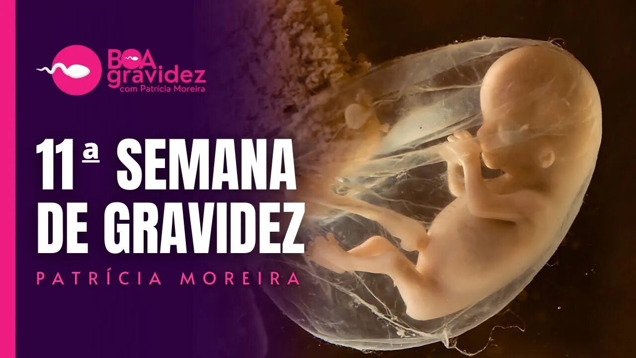 11 SEMANAS DE GRAVIDEZ - Gravidez Semana a Semana com Patrícia Moreira