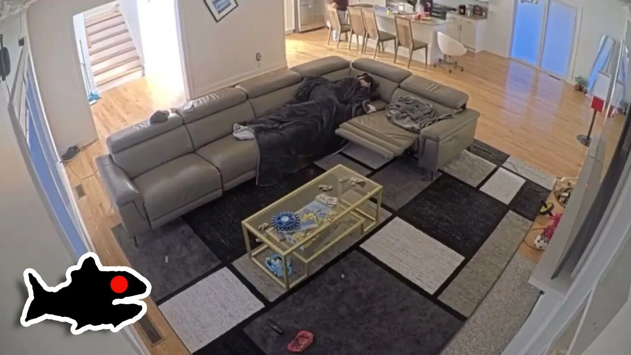 [fishtank.live - Day 5] Jonathan Attempts To Go To Sleep For The Third Time #fishtanklive