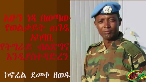 Ethio 360 Nov 11 2020 አሁን ነጻ በወጣው የወልቃይት ጠገዴ አካባቢ የትግራይ ብልጽግና እንዲያስተዳድረን አንፈቅድም ኮኖሬል ደመቀ ዘውዱ