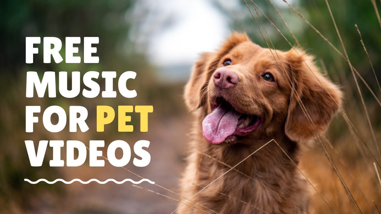 Background music for dogs videos | Happy cuts dogs videos