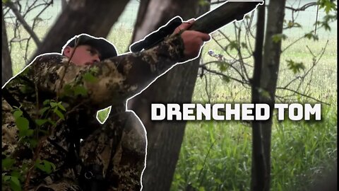 Drenched Tom - Missouri Turkey Hunting