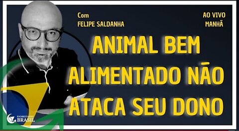 ANIMAL BEM ALIMENTADO NÃO ATACA SEU DONO - by Saldanha - Endireitando Brasil