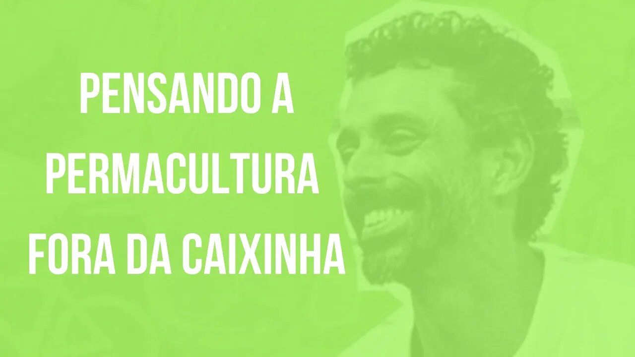 Pensando a permacultura fora da caixinha