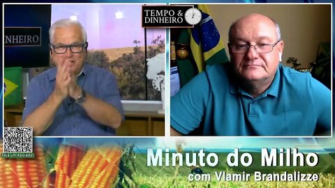 Milho em dia de Cavalinho