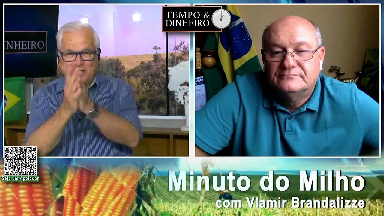 Milho em dia de Cavalinho