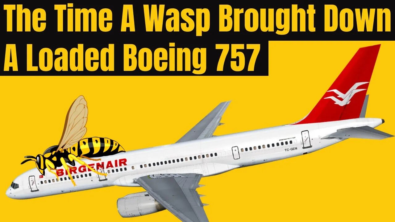The True Story Of How A Wasp Caused The Crash Of Birgenair Flight 301