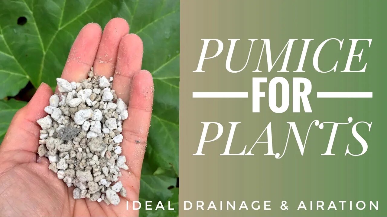 PUMICE FOR PLANTS & POTTING SOIL MIX | A SOIL SCIENTIST VIEW ON PUMICE VS PERLITE.