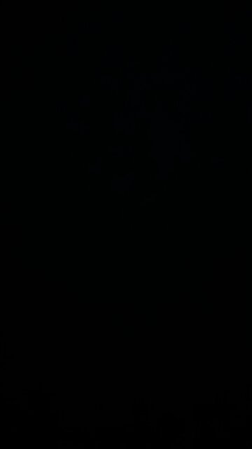 Trump’s seven year plan