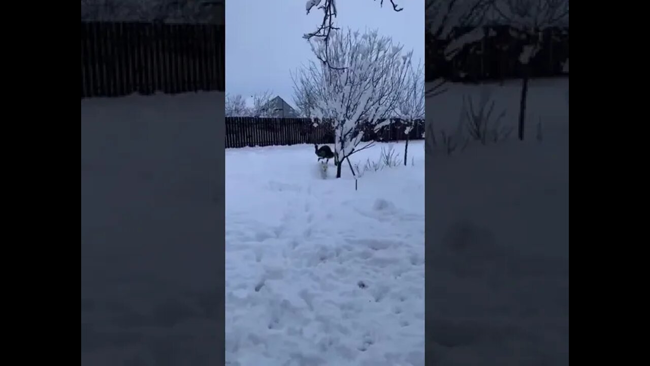 When you and a friend are very different, but you still have fun