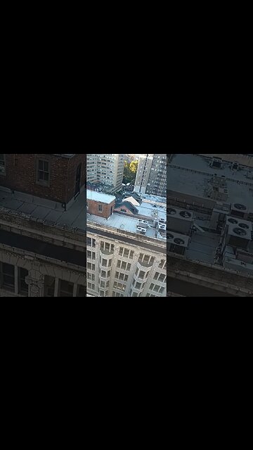 October 15, 2023 #palestine #protest #philly